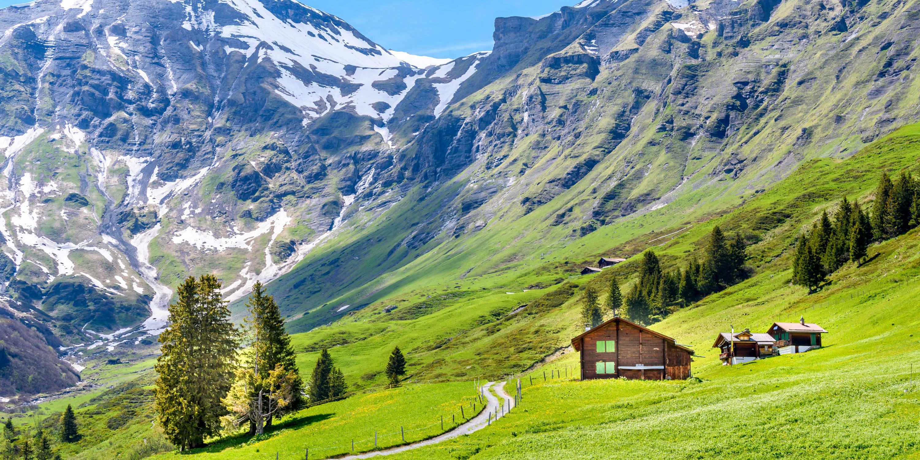 Landscapes